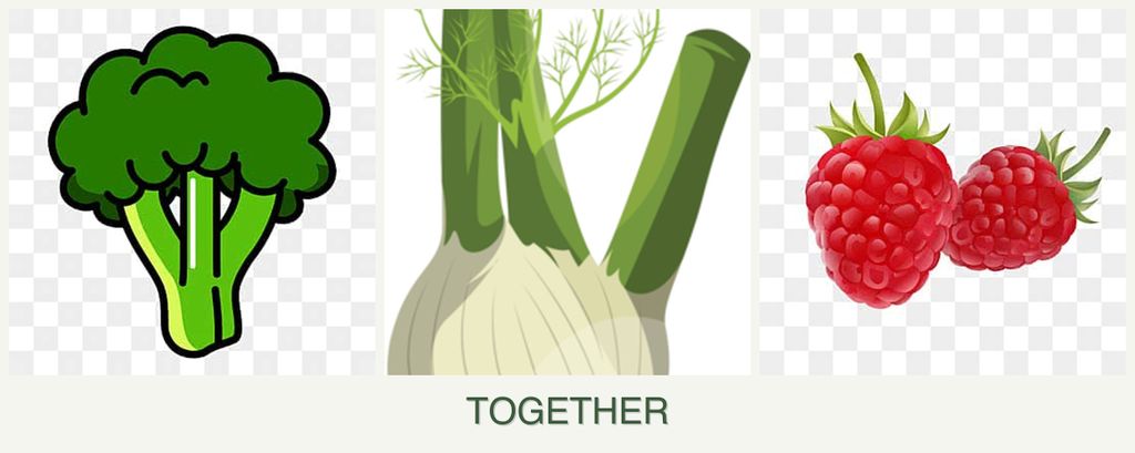 Can you plant broccoli, fennel and raspberries together?