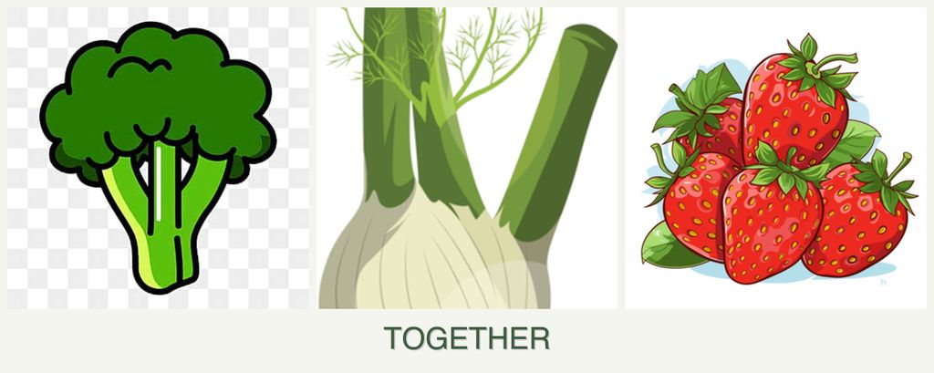 Can you plant broccoli, fennel and strawberries together?