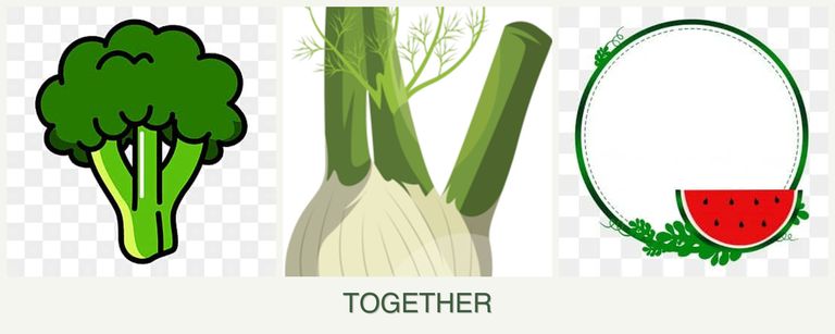 Can you plant broccoli, fennel and watermelons together?