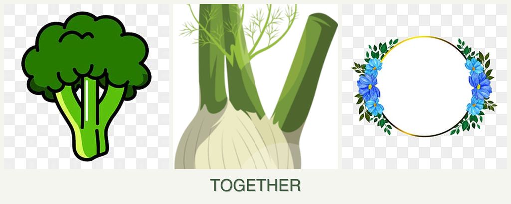Can you plant broccoli, fennel and zinnias together?