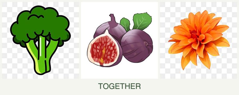 Can you plant broccoli, figs and dahlias together?