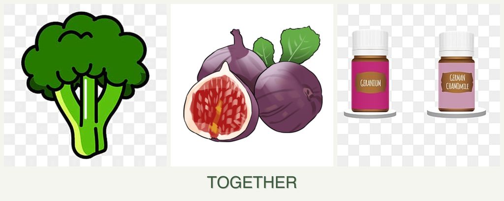 Can you plant broccoli, figs and geraniums together?