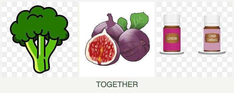 Can you plant broccoli, figs and geraniums together?