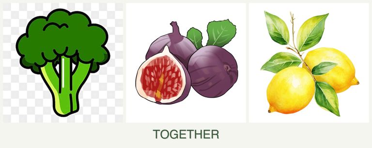 Can you plant broccoli, figs and lemons together?