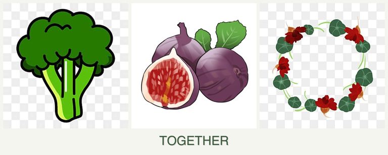 Can you plant broccoli, figs and nasturtiums together?