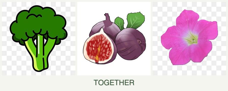 Can you plant broccoli, figs and petunias together?