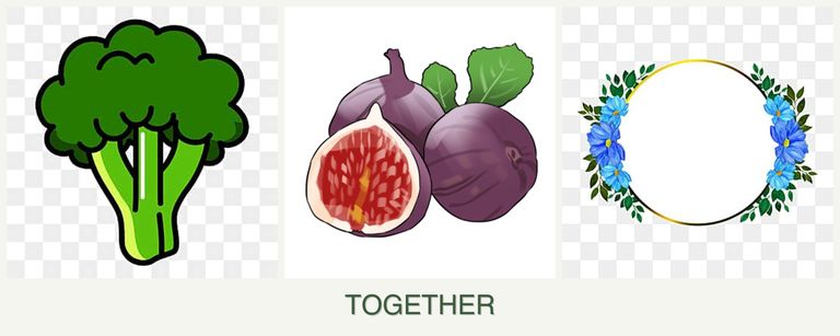 Can you plant broccoli, figs and zinnias together?