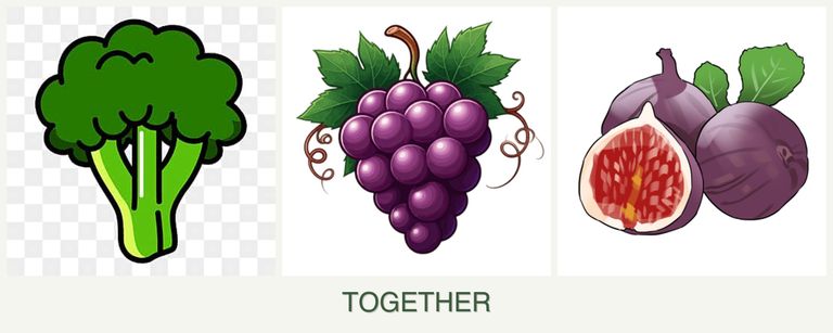 Can you plant broccoli, grapes and figs together?