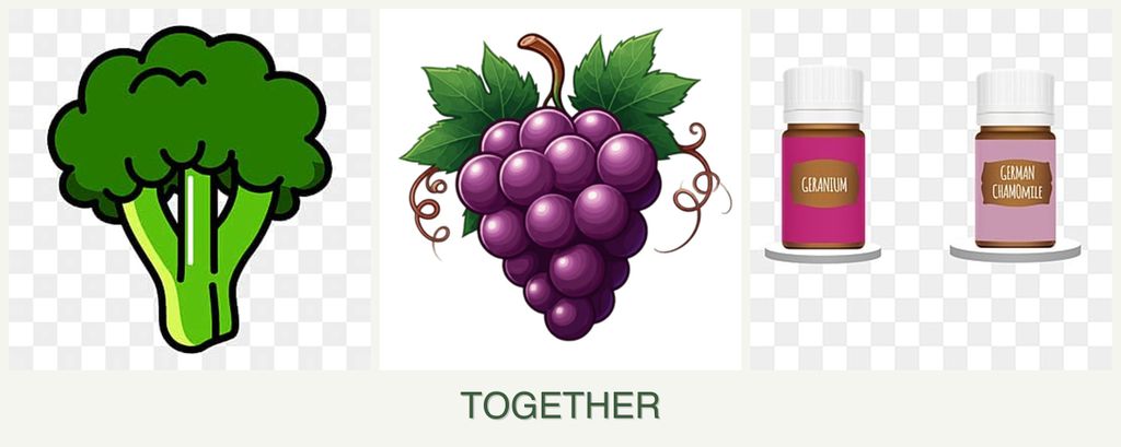 Can you plant broccoli, grapes and geraniums together?