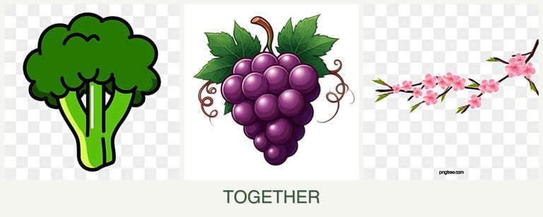 Can you plant broccoli, grapes and peaches together?