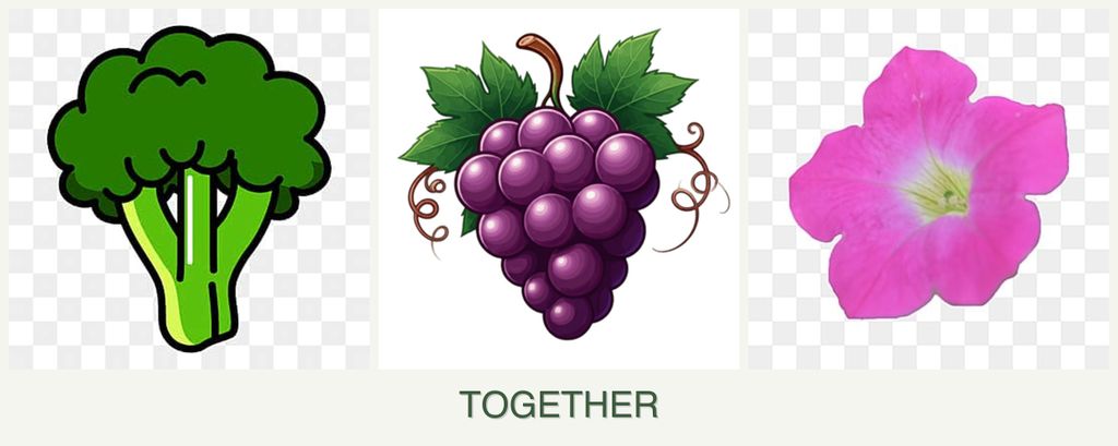 Can you plant broccoli, grapes and petunias together?