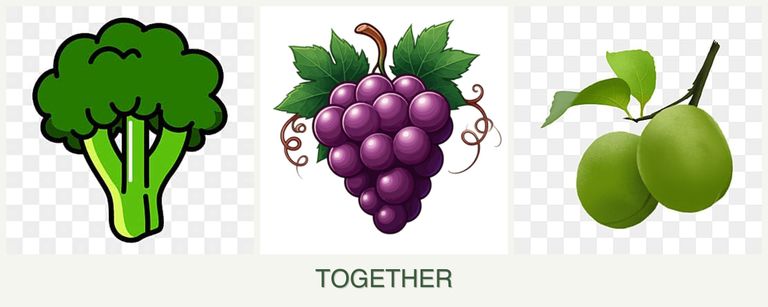 Can you plant broccoli, grapes and plums together?