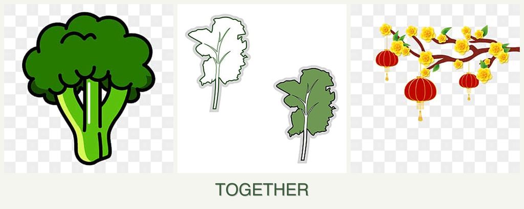 Can you plant broccoli, kale and apricots together?