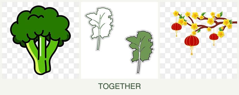 Can you plant broccoli, kale and apricots together?