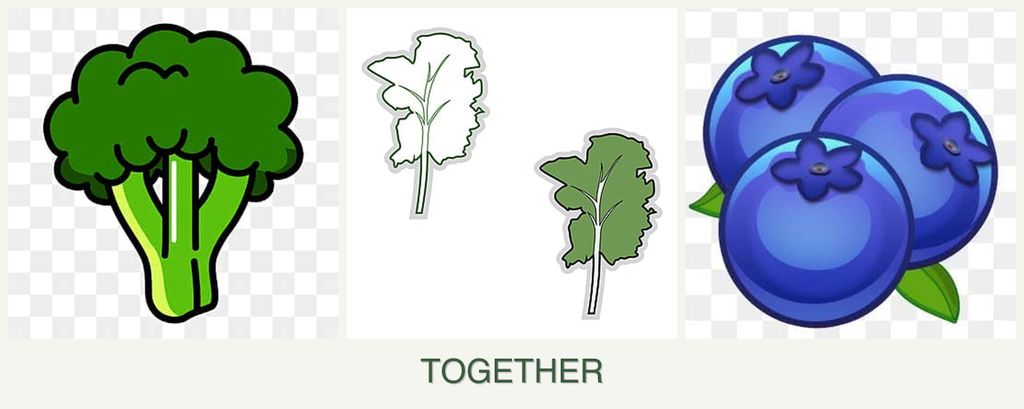 Can you plant broccoli, kale and blueberries together?