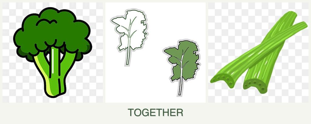 Can you plant broccoli, kale and celery together?