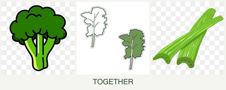 Can you plant broccoli, kale and celery together?