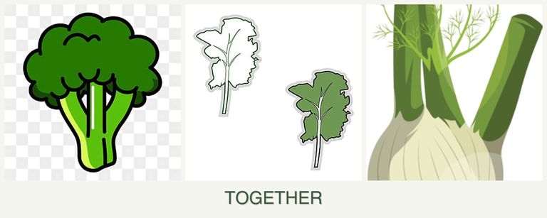 Can you plant broccoli, kale and fennel together?