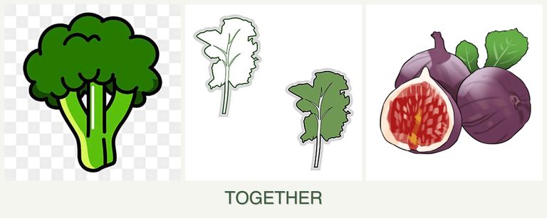 Can you plant broccoli, kale and figs together?