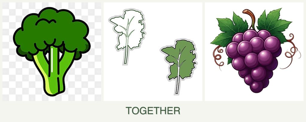 Can you plant broccoli, kale and grapes together?