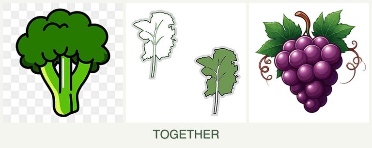 Can you plant broccoli, kale and grapes together?
