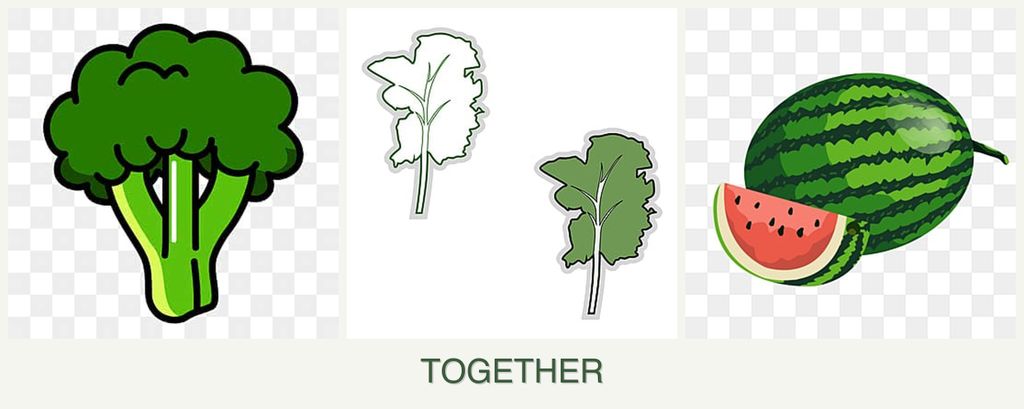 Can you plant broccoli, kale and melons together?