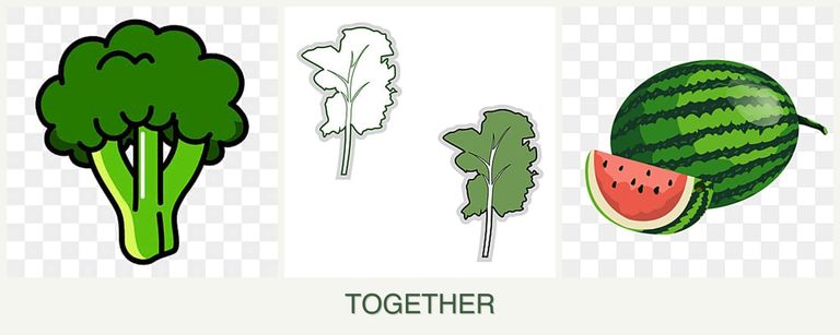 Can you plant broccoli, kale and melons together?