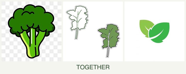 Can you plant broccoli, kale and mint together?