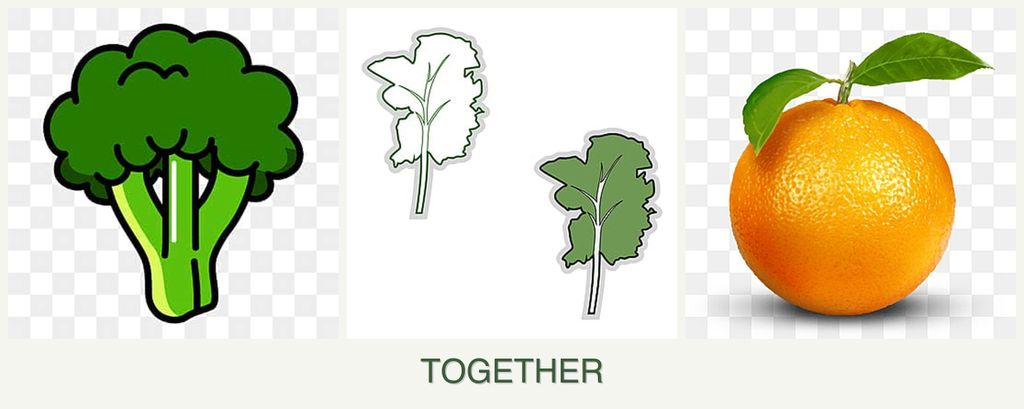 Can you plant broccoli, kale and oranges together?