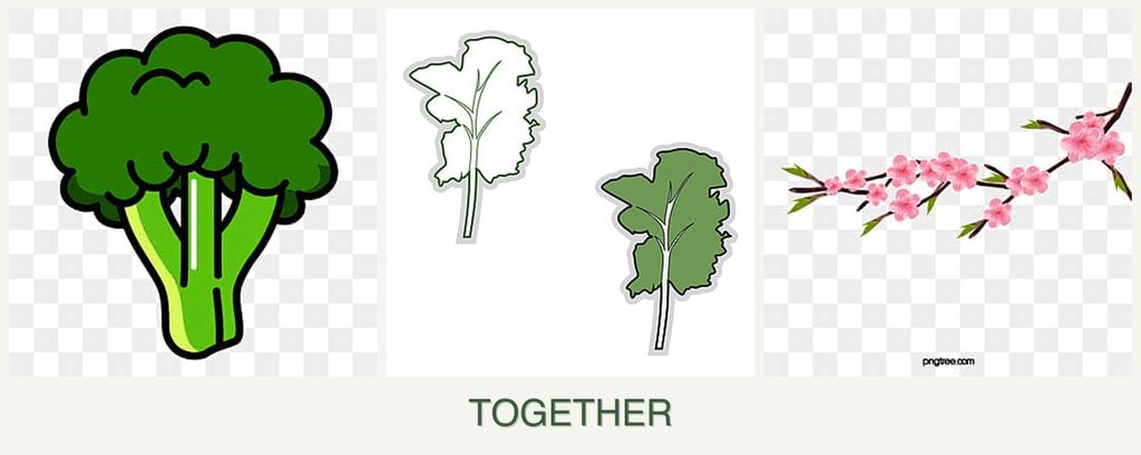 Can you plant broccoli, kale and peaches together?