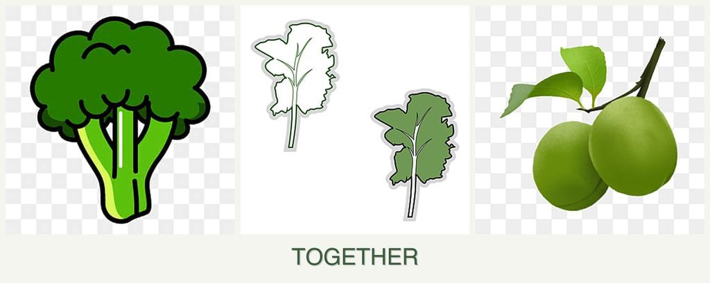 Can you plant broccoli, kale and plums together?