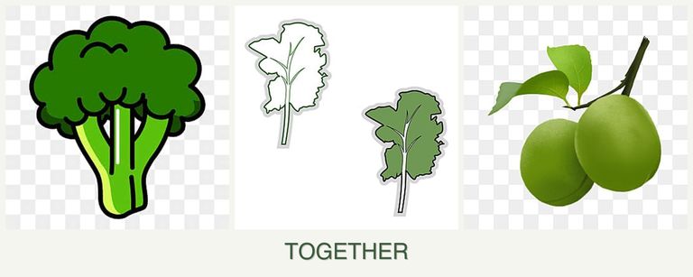 Can you plant broccoli, kale and plums together?