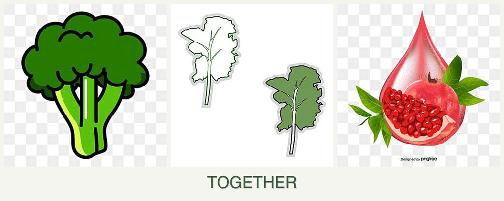 Can you plant broccoli, kale and pomegranates together?