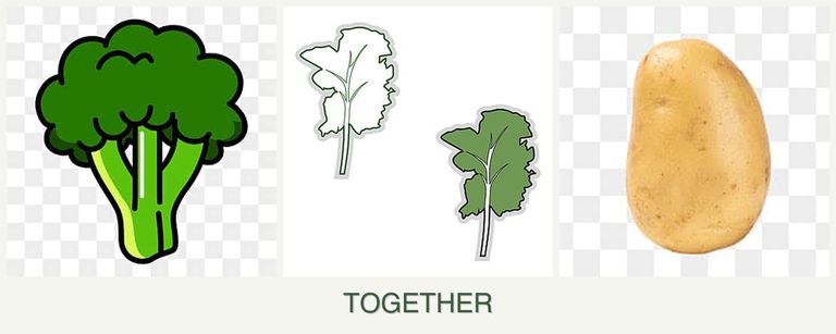 Can you plant broccoli, kale and potatoes together?