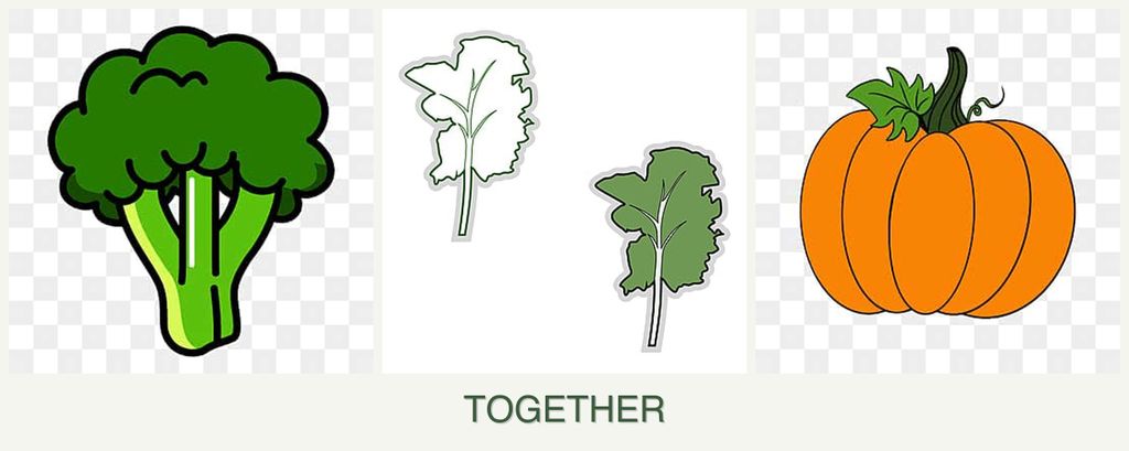 Can you plant broccoli, kale and pumpkin together?