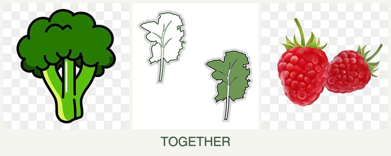 Can you plant broccoli, kale and raspberries together?