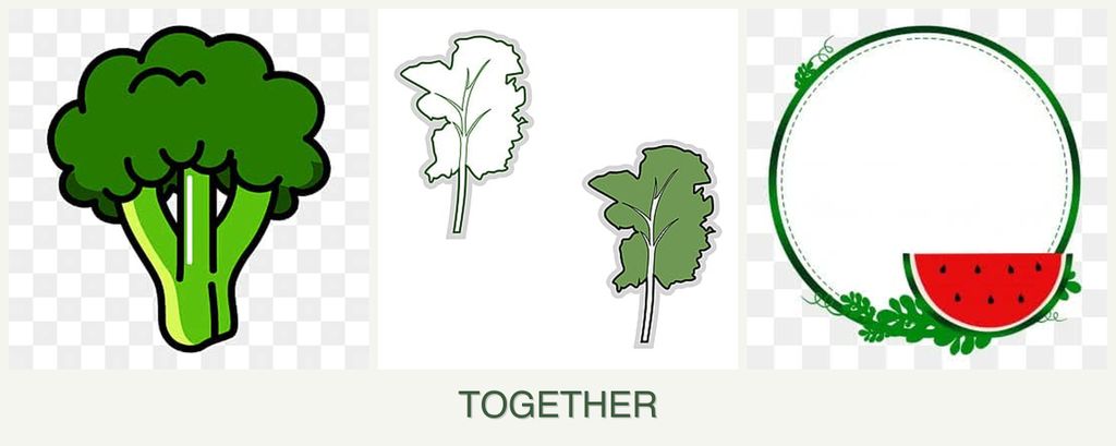 Can you plant broccoli, kale and watermelons together?