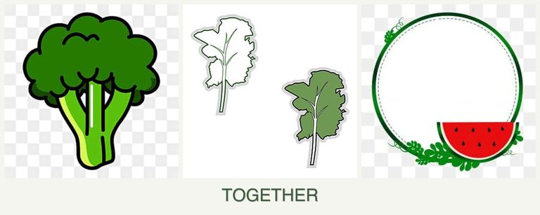 Can you plant broccoli, kale and watermelons together?