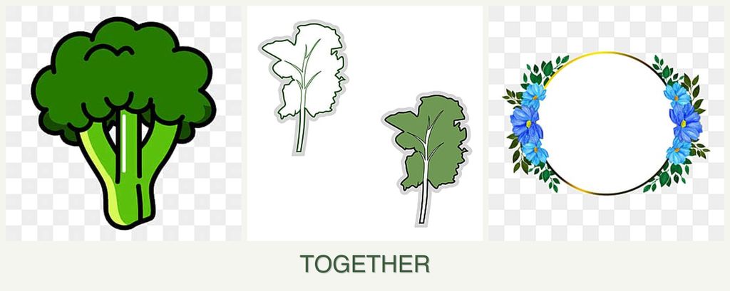 Can you plant broccoli, kale and zinnias together?