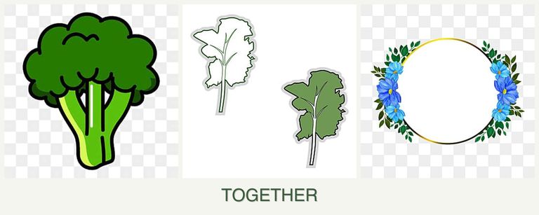 Can you plant broccoli, kale and zinnias together?