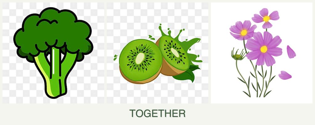 Can you plant broccoli, kiwi and cosmos together?