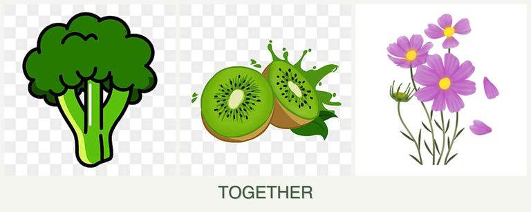 Can you plant broccoli, kiwi and cosmos together?