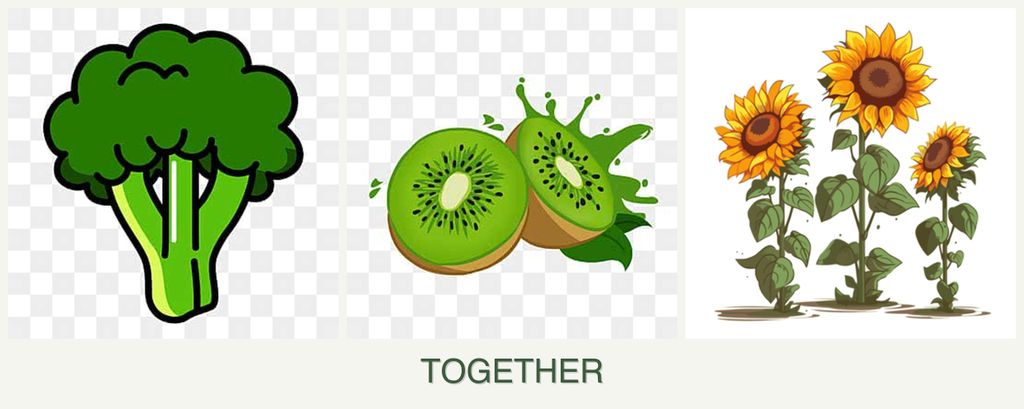 Can you plant broccoli, kiwi and sunflowers together?