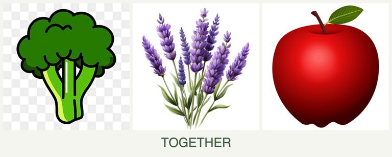 Can you plant broccoli, lavender and apples together?
