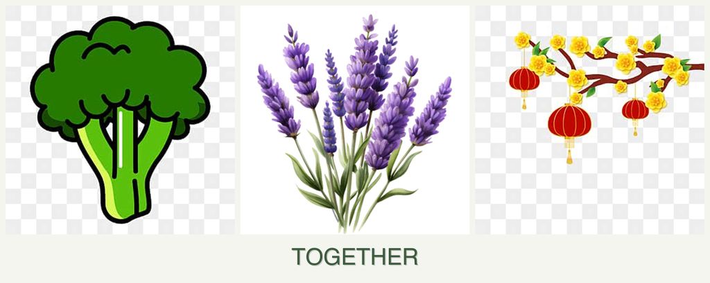 Can you plant broccoli, lavender and apricots together?