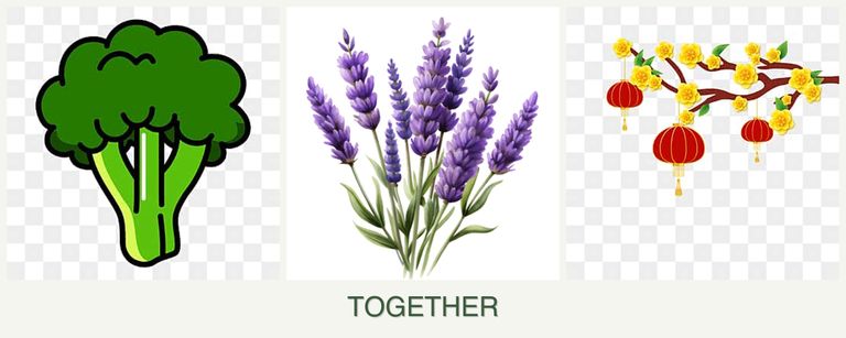 Can you plant broccoli, lavender and apricots together?