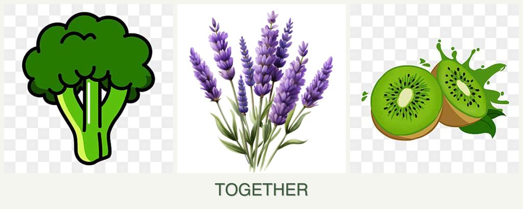 Can you plant broccoli, lavender and kiwi together?
