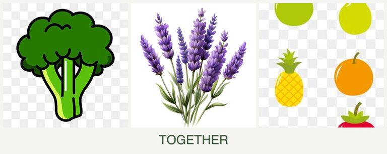 Can you plant broccoli, lavender and pears together?