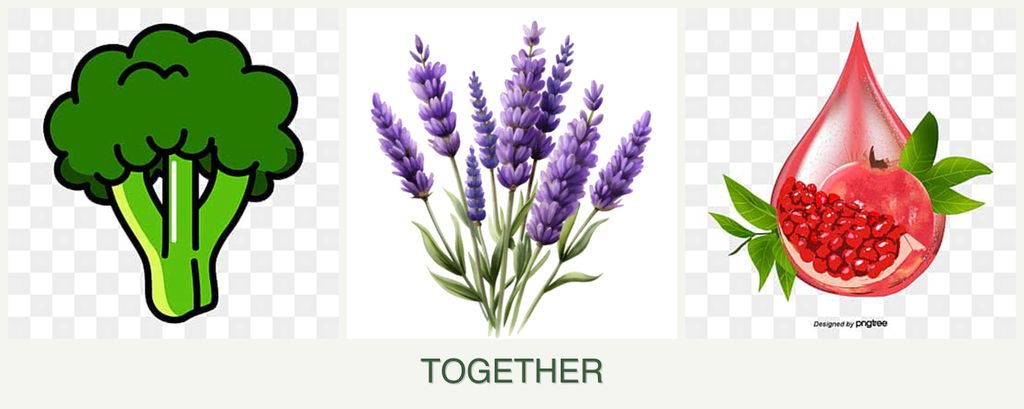 Can you plant broccoli, lavender and pomegranates together?