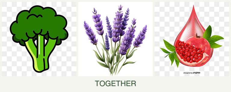 Can you plant broccoli, lavender and pomegranates together?
